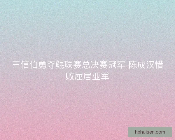 王信伯勇夺鲲联赛总决赛冠军 陈成汉惜败屈居亚军 王信伯勇夺鲲联赛总决赛冠军 陈成汉惜败屈居亚军