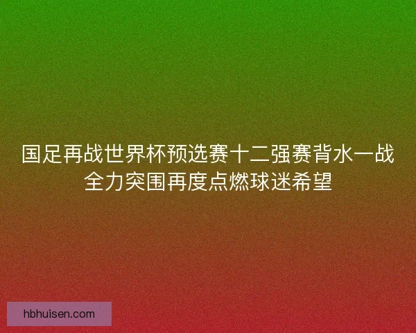 国足再战世界杯预选赛十二强赛背水一战全力突围再度点燃球迷希望
